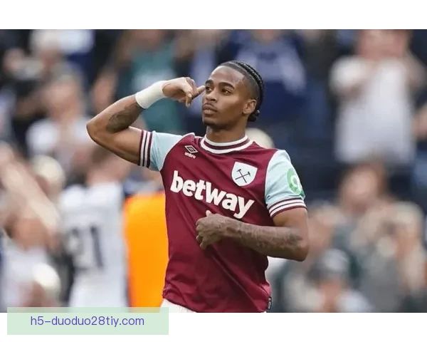 热刺询价萨默维尔西汉姆标价